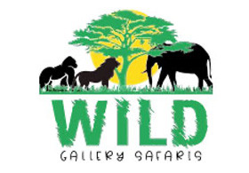 Wild Gallery Safaris