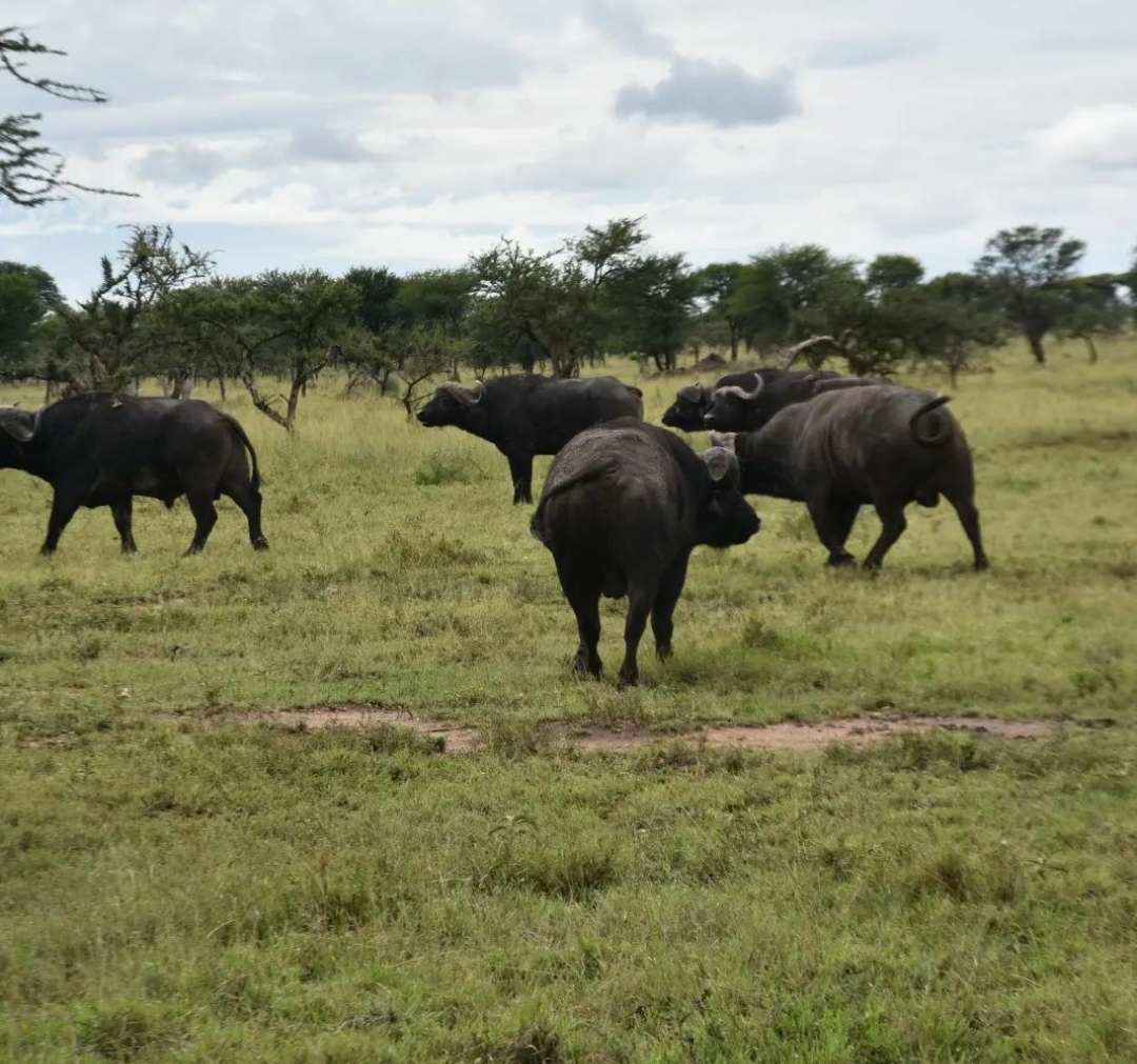 Whatsapp Image 2025 11 11 At 10.30.42 Pm (5)