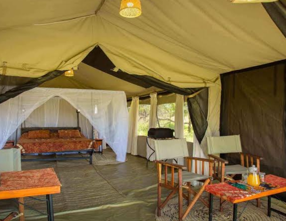 Whatsapp Image 2025 11 13 At 4.16.09 Am (3)