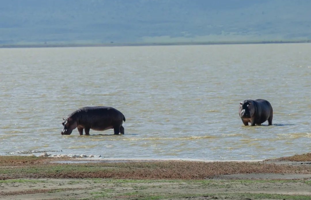 Whatsapp Image 2025 11 13 At 4.16.17 Am (2)