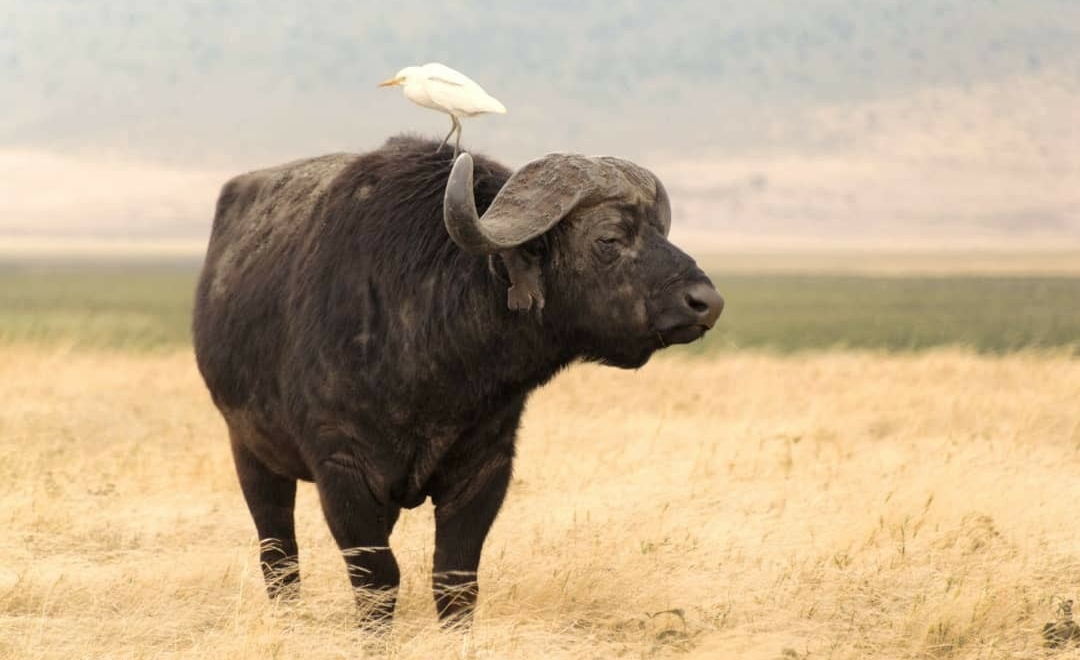 Whatsapp Image 2025 11 13 At 4.16.17 Am (3)