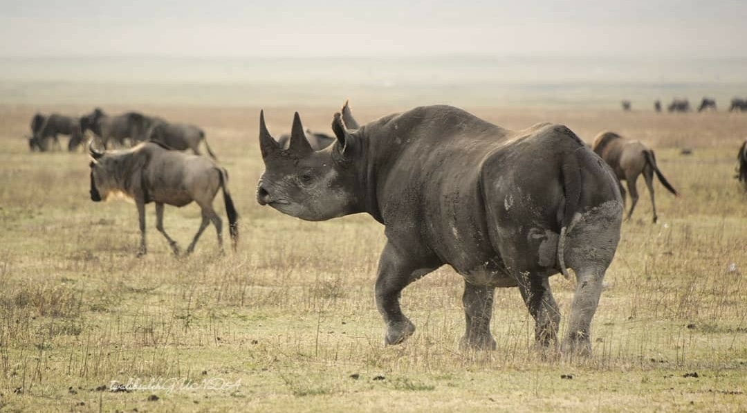 Whatsapp Image 2025 11 13 At 4.16.17 Am (4)