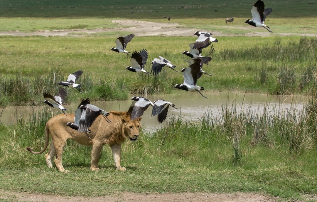 Whatsapp Image 2025 11 13 At 4.16.18 Am (1)