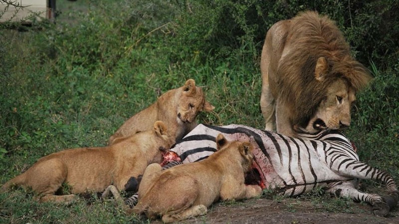 Whatsapp Image 2025 11 13 At 4.16.18 Am (14)