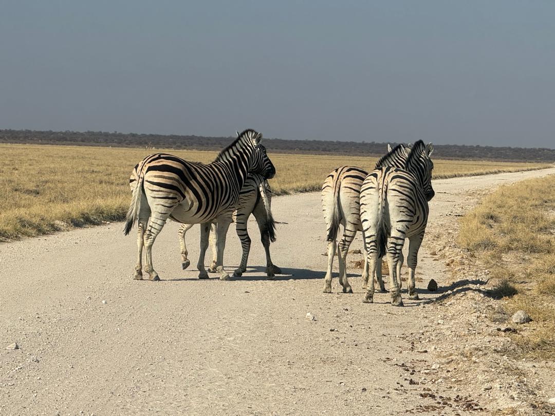 Whatsapp Image 2025 11 13 At 4.16.18 Am (19)