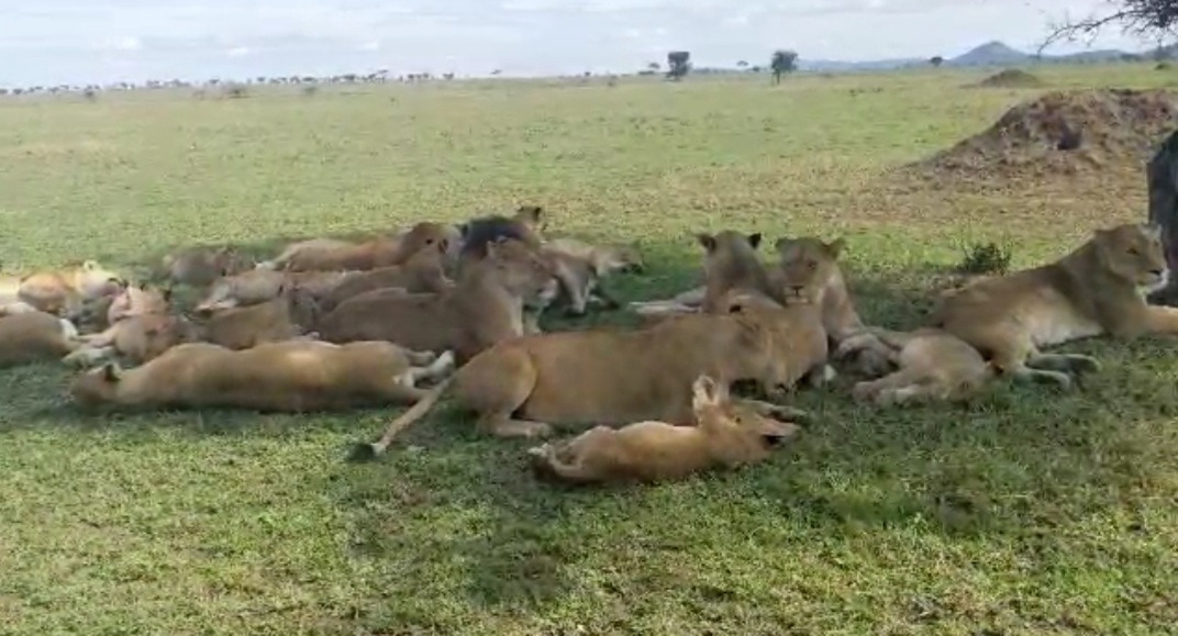 Whatsapp Image 2025 11 13 At 4.16.18 Am (23)