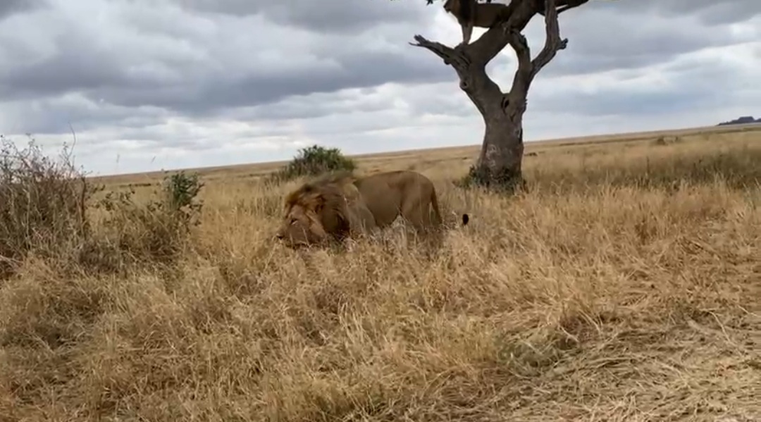 Whatsapp Image 2025 11 13 At 4.16.18 Am (24)