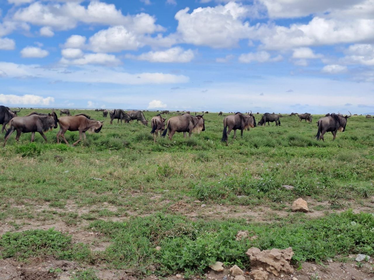 Whatsapp Image 2025 11 13 At 4.16.18 Am (25)