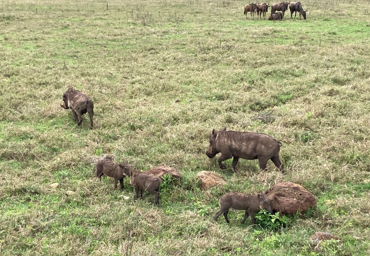 Whatsapp Image 2025 11 13 At 4.16.18 Am (28)