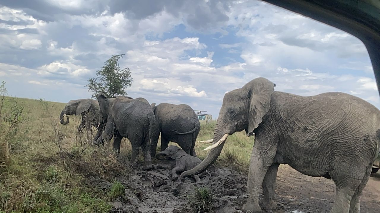 Whatsapp Image 2025 11 13 At 4.16.18 Am (31)