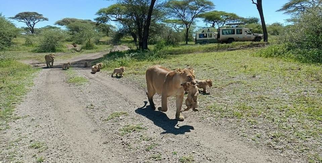 Whatsapp Image 2025 11 13 At 4.16.18 Am (5)