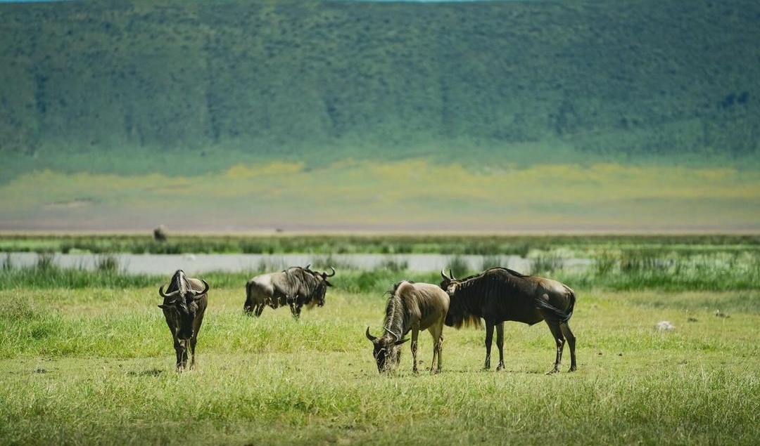 Whatsapp Image 2025 11 13 At 4.16.18 Am (9)