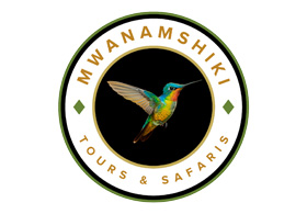 Mwanamshiki Tours and Safaris