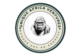 Unique Africa Ventures