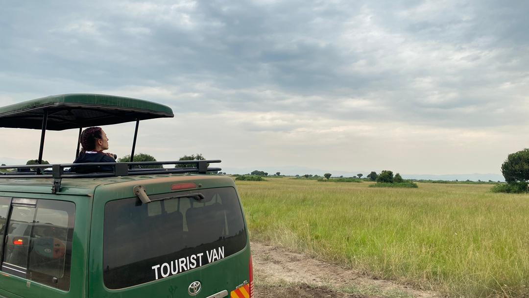 3708de0b627c421796583a9af269e924