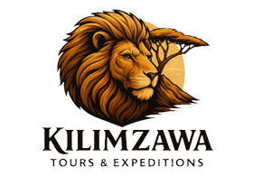 KiliMzawa Tours