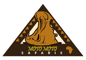 Motomoto Safaris