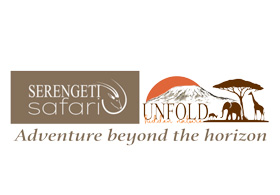 Serengeti Safari