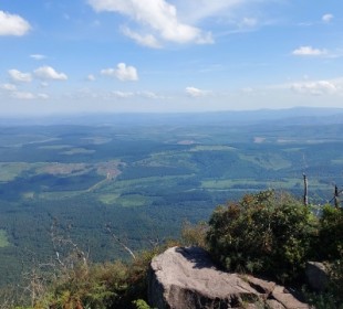 4-Day Luxury Kruger Park and Panorama Route