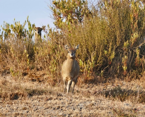 326074265 719083653191274 5950064409737173664 N 10160761243923701 495x400