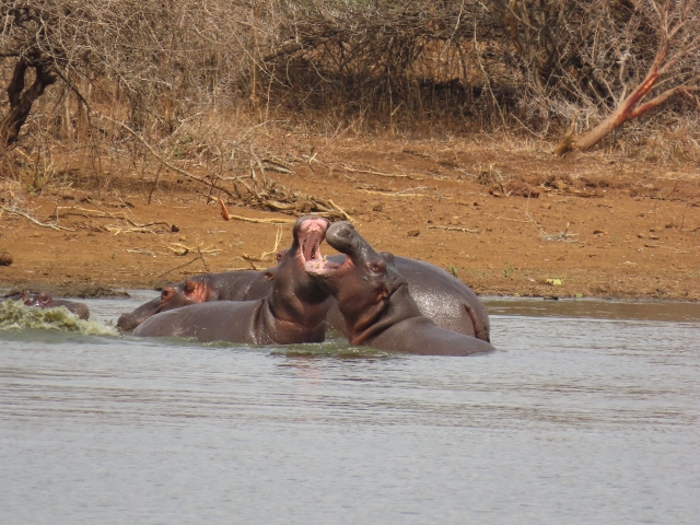 Img 20250928 Wa0018(1)