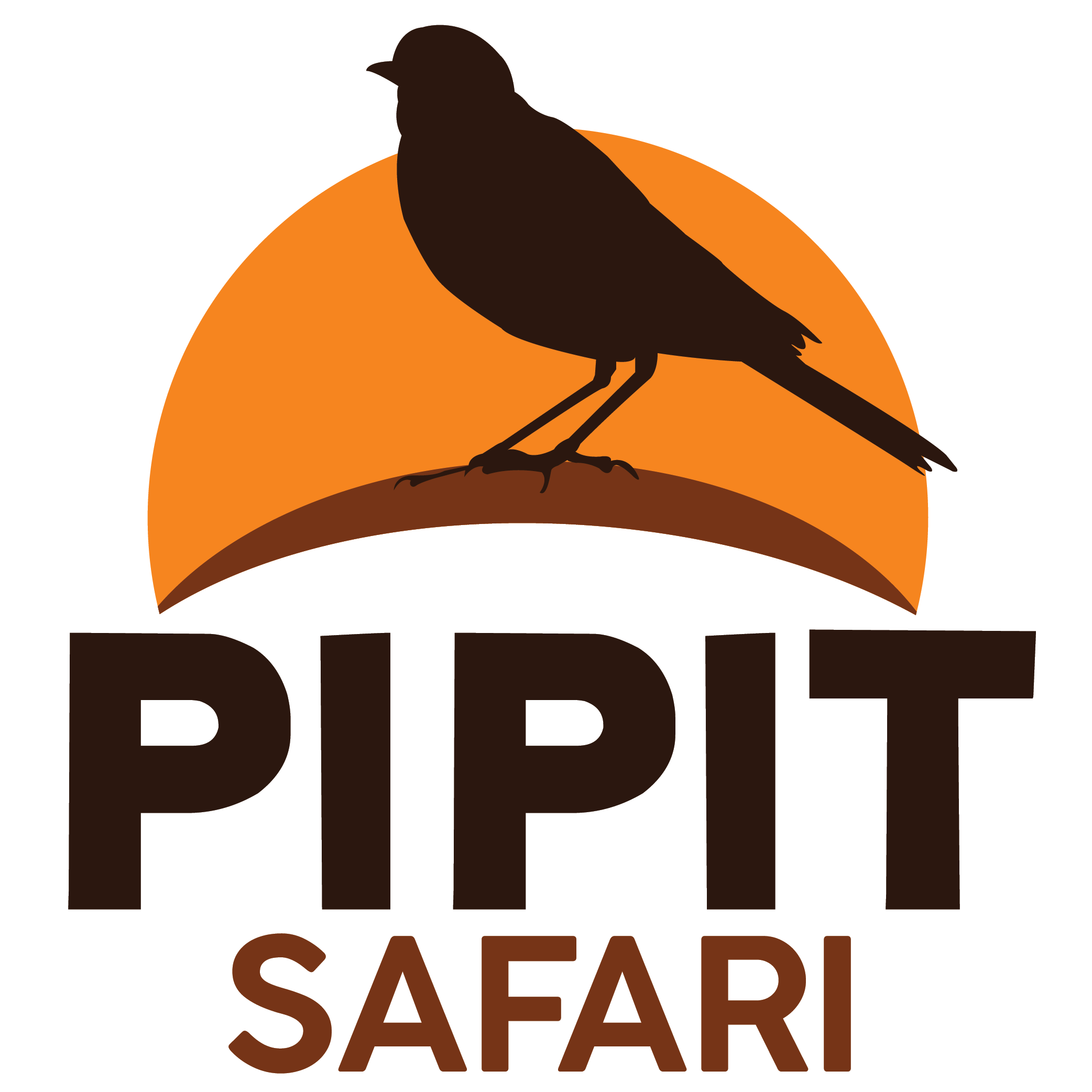 Pipit Safari