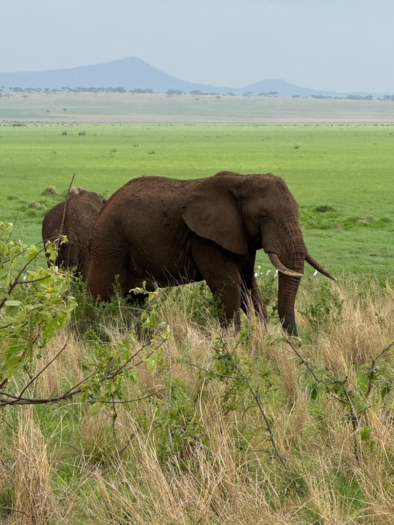 Whatsapp Image 2026 01 06 At 11.26.38 (4)