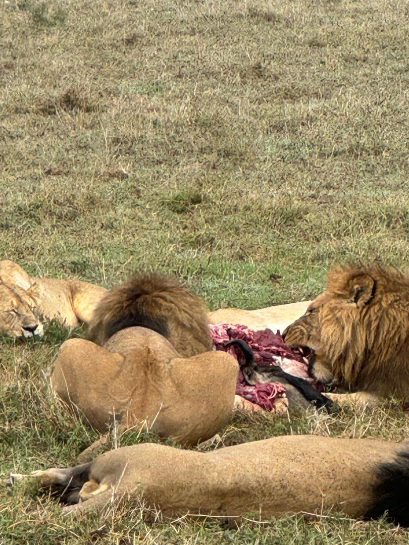 Whatsapp Image 2026 01 06 At 11.31.41 (1)