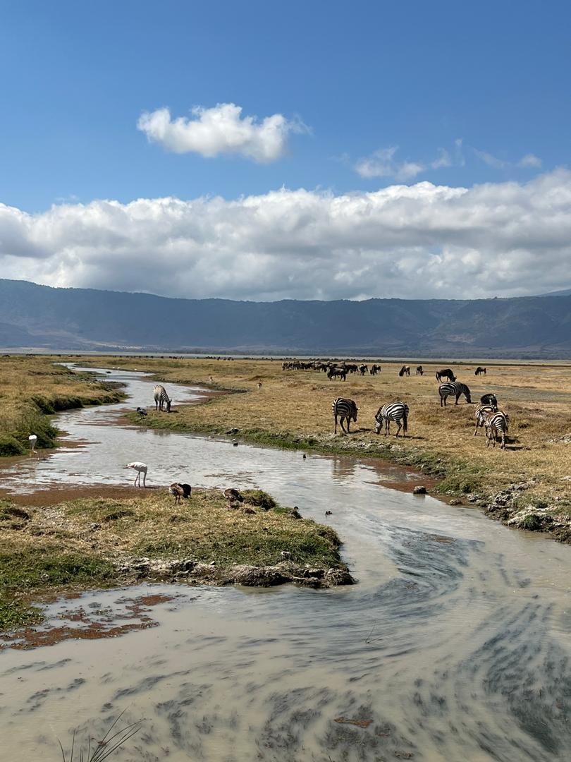 Whatsapp Image 2026 01 06 At 11.47.50 (5)