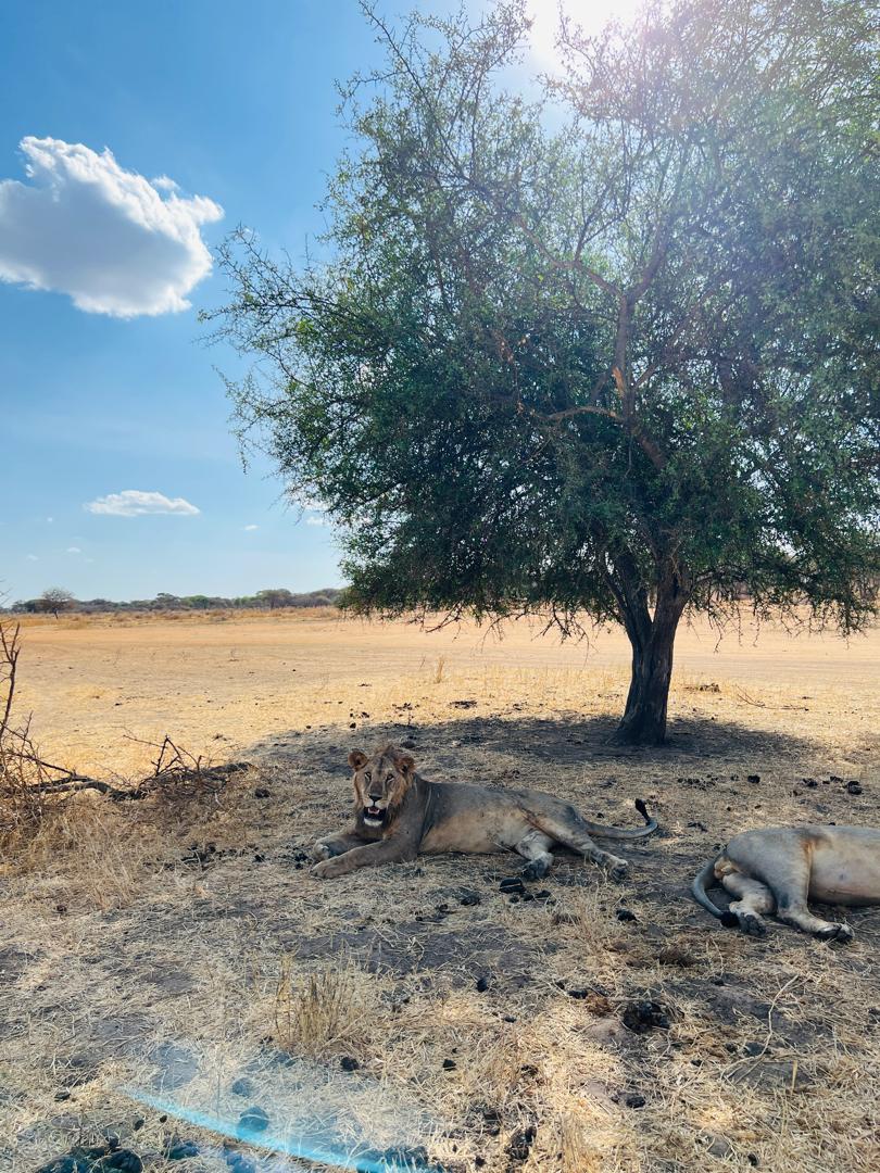 Whatsapp Image 2026 01 06 At 11.49.21 (3)