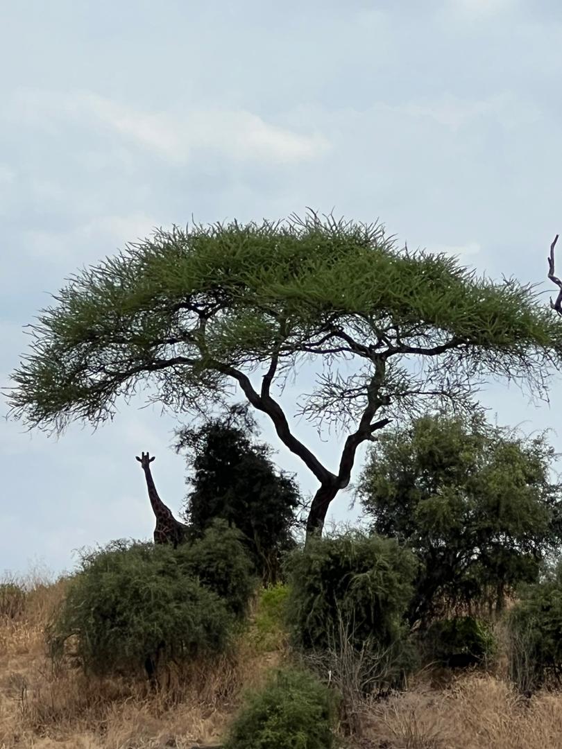 Whatsapp Image 2026 01 06 At 14.05.29 (1)