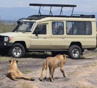 4-Day Amboseli, Tsavo West & Tsavo East Safari