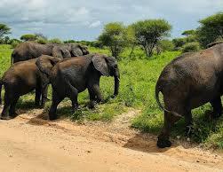 Whatsapp Image 2026 01 20 At 16.24.55