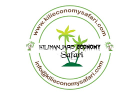 Kilimanjaro Economy Safari