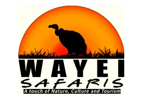 Wayei Safaris