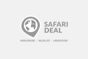 Migration Safari