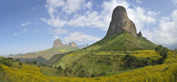 Simien 590x273