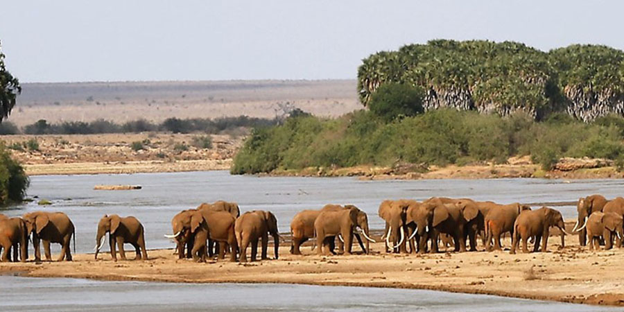 Tsavo West National Park