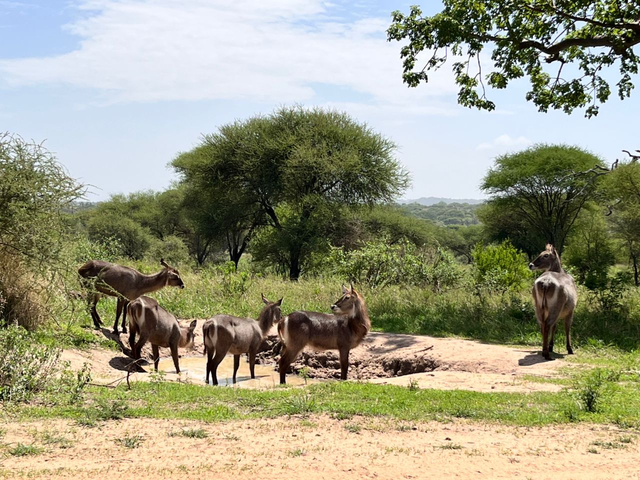 Whatsapp Image 2026 01 27 At 1.32.10 Pm