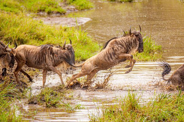 A6f508f521f1b70a69f98556cb362cd2