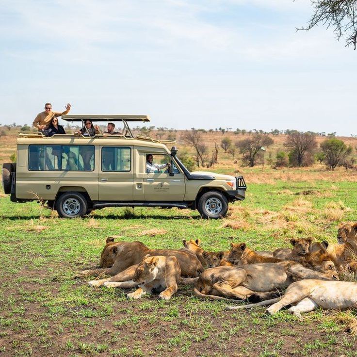 Photo 2025 08 26 06 55 41