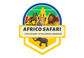 Africo Safari