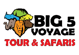 Big 5 Voyage Tours