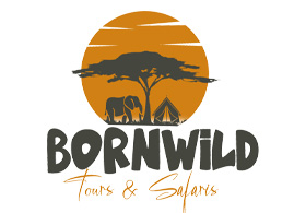 Bornwild Tours and Safaris