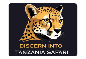 Discern Into Tanzania Safari