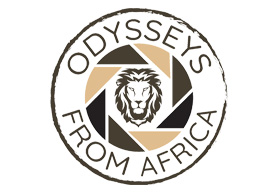 Odysseys from Africa