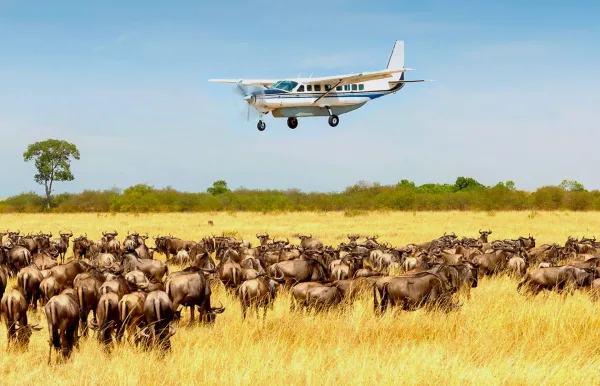 Serengeti Air 0003 600x386