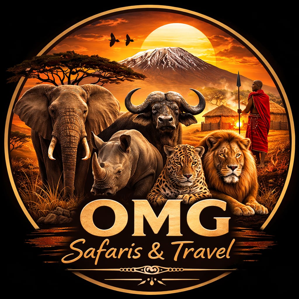 OMG Safaris