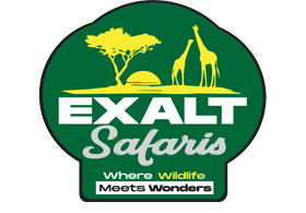 Exalt Safaris