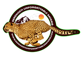 Serengeti Unforgettable Safaris